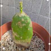 ヒメ日記 2025/08/28 09:05 投稿 右京 おふくろ