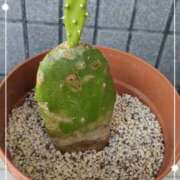 ヒメ日記 2025/09/03 08:25 投稿 右京 おふくろ