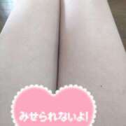 ヒメ日記 2025/09/12 13:02 投稿 右京 おふくろ