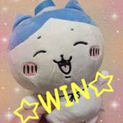 ヒメ日記 2025/09/25 22:48 投稿 右京 おふくろ