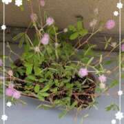 ヒメ日記 2025/10/03 08:35 投稿 右京 おふくろ