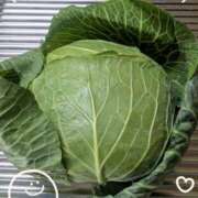 ヒメ日記 2025/11/20 14:01 投稿 右京 おふくろ