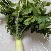 ヒメ日記 2025/11/30 22:08 投稿 右京 おふくろ