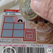 ヒメ日記 2025/12/05 12:34 投稿 右京 おふくろ