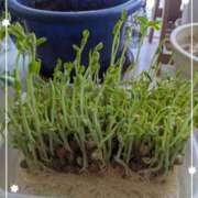 右京 ☆ワクワク〜♪☆ おふくろ