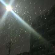 ヒメ日記 2026/02/07 23:57 投稿 右京 おふくろ