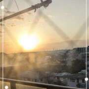 ヒメ日記 2026/02/23 07:07 投稿 右京 おふくろ