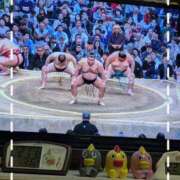 ヒメ日記 2026/03/22 23:37 投稿 右京 おふくろ