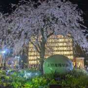 ヒメ日記 2026/03/23 23:01 投稿 右京 おふくろ