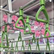 ヒメ日記 2026/04/01 11:26 投稿 右京 おふくろ