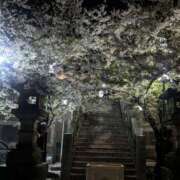 ヒメ日記 2026/04/02 23:23 投稿 右京 おふくろ