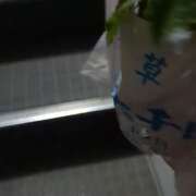 ヒメ日記 2026/07/10 08:00 投稿 右京 おふくろ