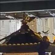 ヒメ日記 2026/08/30 14:10 投稿 右京 おふくろ