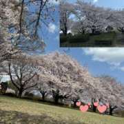 ヒメ日記 2025/04/07 11:40 投稿 れん 奥鉄オクテツ神奈川店（デリヘル市場グループ）