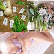 ヒメ日記 2026/01/07 08:25 投稿 れん 奥鉄オクテツ神奈川店（デリヘル市場グループ）