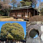 ヒメ日記 2026/01/29 12:45 投稿 れん 奥鉄オクテツ神奈川店（デリヘル市場グループ）