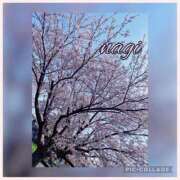 ヒメ日記 2025/04/08 20:46 投稿 凪(なぎ) MERMAID～マーメイド～