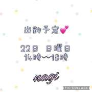 ヒメ日記 2025/06/16 07:35 投稿 凪(なぎ) MERMAID～マーメイド～