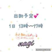 ヒメ日記 2026/01/31 10:26 投稿 凪(なぎ) MERMAID～マーメイド～