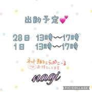 ヒメ日記 2026/02/27 08:54 投稿 凪(なぎ) MERMAID～マーメイド～