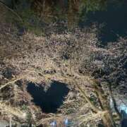 ヒメ日記 2025/04/26 09:51 投稿 りあら NEW GENERATION