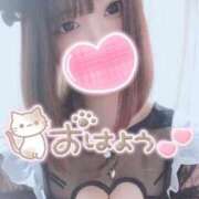 ヒメ日記 2025/02/18 12:04 投稿 しおん 君とふわふわプリンセスin本庄