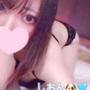 ヒメ日記 2025/02/18 19:31 投稿 しおん 君とふわふわプリンセスin本庄