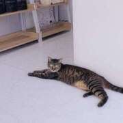 ヒメ日記 2025/05/26 17:34 投稿 大城彩夕花 札幌ソフィア