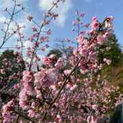 ヒメ日記 2025/05/29 13:18 投稿 大城彩夕花 札幌ソフィア