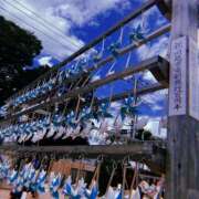 ヒメ日記 2025/06/01 12:18 投稿 大城彩夕花 札幌ソフィア