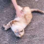 ヒメ日記 2025/06/03 17:04 投稿 大城彩夕花 札幌ソフィア