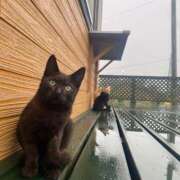 ヒメ日記 2025/06/10 19:12 投稿 大城彩夕花 札幌ソフィア