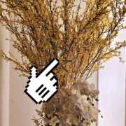 ヒメ日記 2025/06/11 19:48 投稿 大城彩夕花 札幌ソフィア