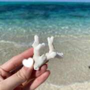 ヒメ日記 2025/06/13 11:42 投稿 大城彩夕花 札幌ソフィア