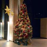 ヒメ日記 2025/11/22 20:04 投稿 大城彩夕花 札幌ソフィア