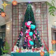 ヒメ日記 2025/12/20 08:48 投稿 大城彩夕花 札幌ソフィア