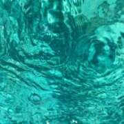 ヒメ日記 2025/12/25 14:19 投稿 大城彩夕花 札幌ソフィア