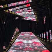 ヒメ日記 2025/12/27 10:19 投稿 大城彩夕花 札幌ソフィア