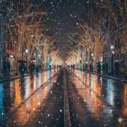 ヒメ日記 2025/12/29 11:48 投稿 大城彩夕花 札幌ソフィア