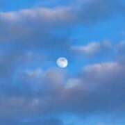 ヒメ日記 2026/01/31 16:33 投稿 大城彩夕花 札幌ソフィア