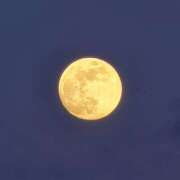 ヒメ日記 2026/02/01 23:57 投稿 大城彩夕花 札幌ソフィア