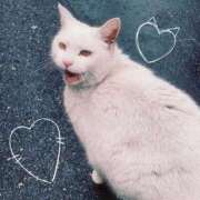 ヒメ日記 2026/03/15 18:03 投稿 大城彩夕花 札幌ソフィア