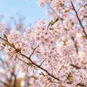 ヒメ日記 2026/03/17 23:18 投稿 大城彩夕花 札幌ソフィア