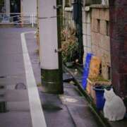 ヒメ日記 2026/03/21 21:03 投稿 大城彩夕花 札幌ソフィア