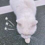 大城彩夕花 おひる🌞 札幌ソフィア