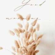 ヒメ日記 2025/03/12 08:22 投稿 中宮 かぐら こあくまな熟女たち伊勢崎店（KOAKUMAグループ）