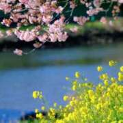 ヒメ日記 2025/04/07 09:57 投稿 中宮 かぐら こあくまな熟女たち伊勢崎店（KOAKUMAグループ）