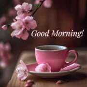 ヒメ日記 2025/04/08 09:16 投稿 中宮 かぐら こあくまな熟女たち伊勢崎店（KOAKUMAグループ）