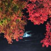 ヒメ日記 2025/11/11 19:37 投稿 中宮 かぐら こあくまな熟女たち伊勢崎店（KOAKUMAグループ）