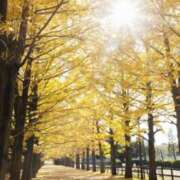 ヒメ日記 2025/11/23 13:24 投稿 中宮 かぐら こあくまな熟女たち伊勢崎店（KOAKUMAグループ）